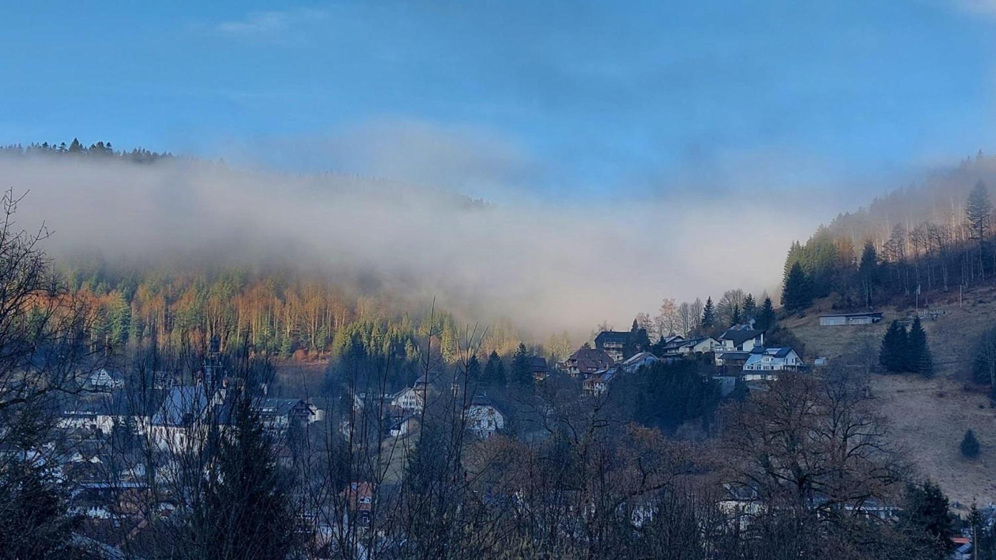 Haus-Herzogenhorn-Sunrise ทอดท์โมส ภายนอก รูปภาพ